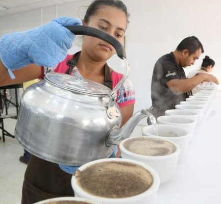 Cafés con sabores más sofisticados, la novedad en la Taza de Excelencia