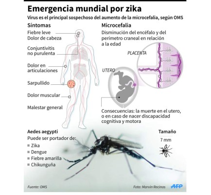 OMS declara emergencia sanitaria mundial por virus del Zika