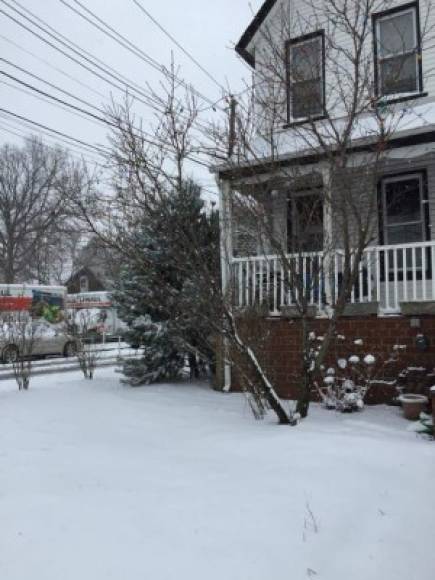 Mary Cardenas mostró como la nieve cubrió gran parte de los alrededores de su casa.