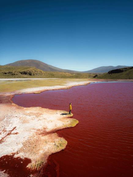 Expertos en ciencia han llegado a la conclusión que la proliferación de algas rojas fue el factor preponderante para que el agua cambiara radicalmente de color en el río Nilo.