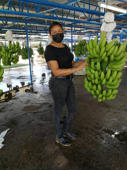 Lorena trabajaba en Chiquita, una empresa que exporta banano al extranjero.