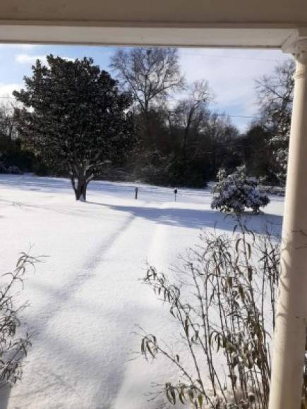 El Servicio Meteorológico Nacional pronosticó que las nevadas, heladas y lluvia helada continuarán durante la semana debido a 'una tormenta invernal masiva' que cruza el Valle del Ohio hacia el noreste./Foto de Roxy Castillo.