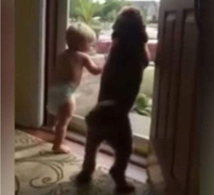 Emoción de un bebé y cachorro cuando el papá llega a casa
