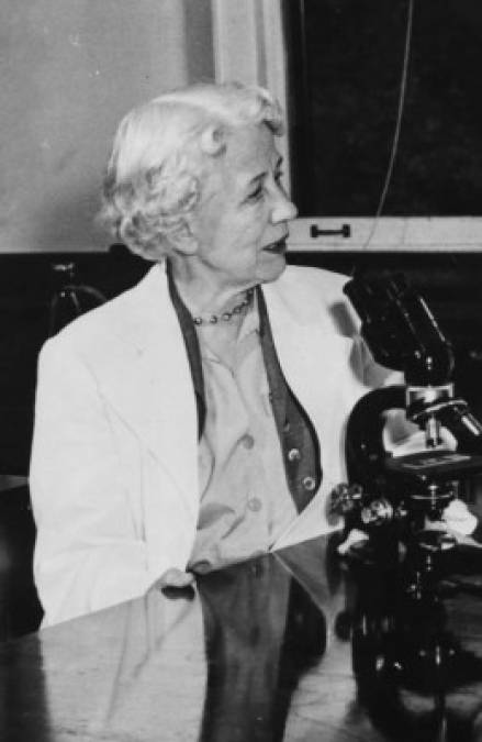 Rachel Fuller Brown fue una química estadounidense. Junto a Elizabeth Lee Hazen desarrolló el primer antibiótico efectivo contra la enfermedad de hongos en los humanos, el avance biomédico más importante desde el descubrimiento de la penicilina.