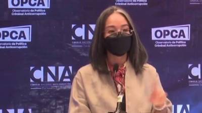 La directora del CNA, Gabriela Castellanos dijo que la historia juzgará a los responsables de este 'mal parto', refiriéndose a las zede.