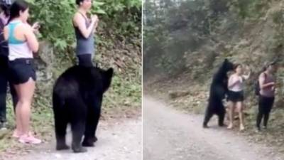 Imagen de la selfie de la joven junto al oso.