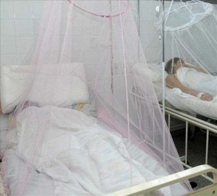 Centroamérica recibe 500 mil euros de UE para combatir dengue