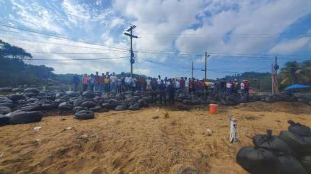 Todos los años, Islas de la Bahía y otros departamentos costeros reciben en sus playas corrientes de sargazo que luego retiran con maquinaria.