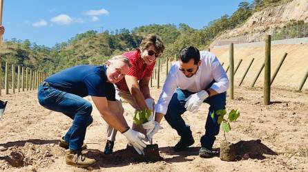 Rodrigo Barbosa, CEO de Aura Minerals; Gama Watson, embajadora de Brasil en Honduras y Miguel Medina, ministro de Inversiones, realizaron sembraron la primera planta de vid en el occidente hondureño.