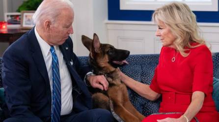 Commander es una de las mascotas de Biden que le fue obsequiado por su hermano.