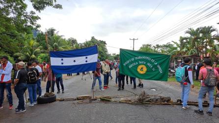Los empleados de la empresa Agrícola Santa Inés reanudaron las tomas este lunes en la carretera CA-13, a la altura de aldea Puente Alto, Sonaguera, Colón y no van a soltar la vía hasta el miércoles.