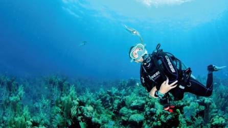 La isla es bendecida con 32 vertientes de agua pura de las que apenas se usan cuatro.