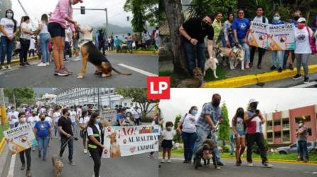 La marcha será en San Pedro Sula a partir de las 4:00 pm.