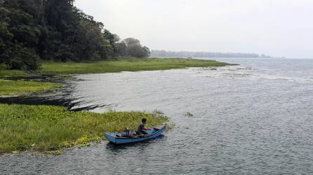 El Lago de Yojoa, la mayor reserva de agua dulce de Honduras y una de las más importantes de Centroamérica, sufre impactos negativos por el cambio climático, sobreexplotación acuícola, minería, malas prácticas agrícolas y desechos sólidos.