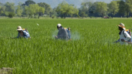 Foto: La Prensa