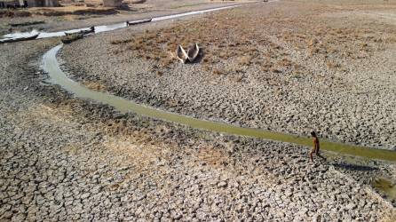 El lugar del Jardín del Edén bíblico en Irak se ha visto azotado por tres años de sequía, que han rebajado considerablemente el caudal de los ríos y afluentes procedentes de los vecinos Turquía e Irán.