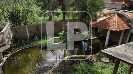 Las imponentes mansiones de los Valle ahora se pierden entre el agua sucia, la maleza y el polvo, pues están abandonadas por las autoridades que las incautaron.