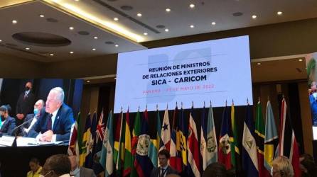 Exposición del canciller hondureño Eduardo Enrique Reina en Panamá.