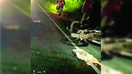 <b>El accidente fue la noche del jueves en Omoa, Cortés.</b>