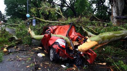 Más de 300 árboles caídos en Buenos Aires tras el azote de la tormenta.