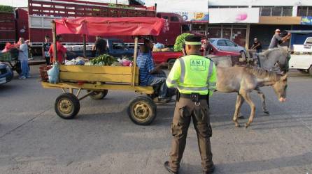 La alcaldía de San Pedro Sula comenzó este viernes a levantar un censo para registrar carretas que circulan por la ciudad.