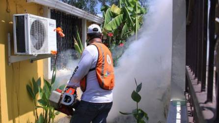 Prevención. Durante la jornada se fumigaron las viviendas y se abatizó.