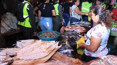 Los equipos municipales han inspeccionado varios mercados y continuarán durante toda la temporada anuncian los encargados.