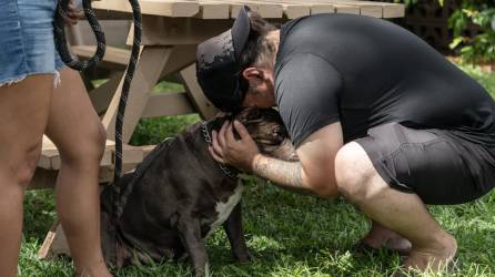 Rafael Ochoa, residente de Lahaina, con su perra, Bella, en Maui Humane Society en Puunene, Hawái, el 15 de agosto de 2023. Ochoa salvó a Bella del incendio forestal que arrasó su ciudad, pero con su situación de vivienda inestable, se la llevó. a la Sociedad Protectora de Animales para preguntar sobre opciones temporales para cuidarla.