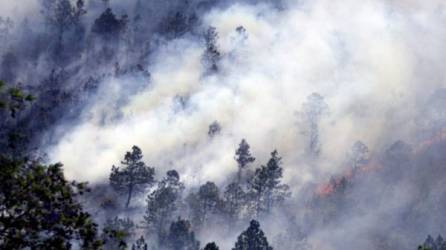 Un total de 71,850 hectáreas de bosques y pasto fueron destruidas en 1,162 incendios registrados en Honduras en 2019. Fotografía de archivo.