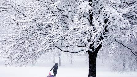 Varias personas juegan en la nieve durante una tormenta en Washington, DC, donde se espera una nevada de 8 pulgadas y temperaturas bajo cero.