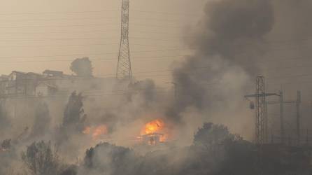 Fotografía que muestra incendios forestales que afectan la zona de Canal Beagle, Viña del Mar, Región de Valparaiso (Chile).