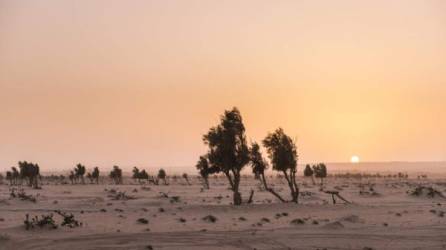 La temperatura del aire ha ascendido hasta por encima de los 70 grados centígrados bajo el sol. En la sombra permanece a 54. El abrasador clima ha derretido autos, basureros y semáforos. Incluso ha incendiado autos en medio de las vías de Kuwait, un país petrolero en Medio Oriente.
