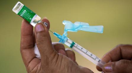 La OMS llama al desarrollo de vacunas contra el virus de la gripe aviar.