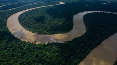 El río Itaquai en Brasil. La selva amazónica desempeña un papel fundamental en la regulación del clima de la Tierra al extraer dióxido de carbono de la atmósfera. Víctor Moriyama para The New York Times