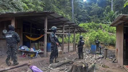 En el lugar del decomiso los elementos de las Fuerzas Armadas además encontraron un narcolaboratorio en el cual hallaron los precursores químicos para elaborar la pasta de coca.