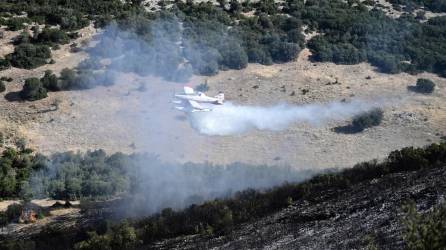 La ola de calor ha provocado varios incendios forestales que han arrasado miles de hectáreas.