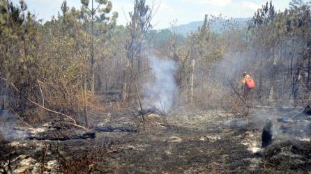 El incendio en el Parque Nacional La Tigra ha consumido más de 1,000 hectáreas de bosque, según estiman autoridades.
