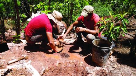 José Geovany González (de 30 años) y Nahún Cáceres (de 31) obtienen una muestra de materia bruta, compuesta por tierra y rocas, como cuarzo y pirita. La trituran y la rocían con agua en una cuchara metálica. Después de varios minutos aflora el oro, luego los mineros comienzan o continúan las excavaciones siguiendo una veta. Fotos: Franklin Muñoz