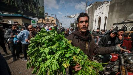 La khobiza ha sido una porción enorme de la dieta de muchos habitantes de Gaza, siendo una fuente económica de comida.