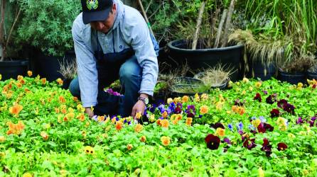 Trabajadores de Prime Landscape Services celebran una fiesta de despedida.