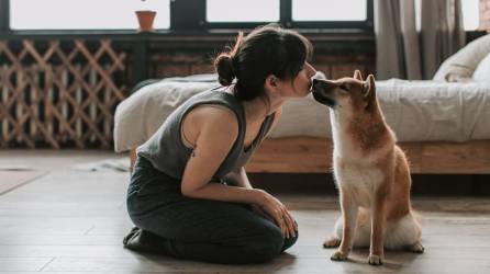 “Los animales de compañía tienen metabolismos diferentes (a los de los humanos); pueden sufrir intoxicaciones, cuadros gastrointestinales, úlceras, fallas renales e inclusive la muerte”, enfatiza la experta.