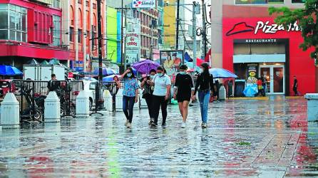 Esperan que las condiciones climáticas sean favorables para la siembra en 2023