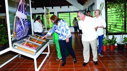 El centro de visitantes del Jardín Botánico Lancetilla cuenta con alta tecnología con la que explican la historia, flora, fauna y la experiencia que se vive en el lugar que es único en Honduras. Fotos: Héctor Edú