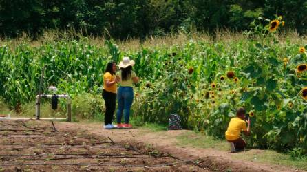 Copán ofrece recorridos, eventos culturales y rica gastronomía