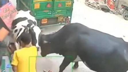 Video: Vacas locas atropellan a dos niñas