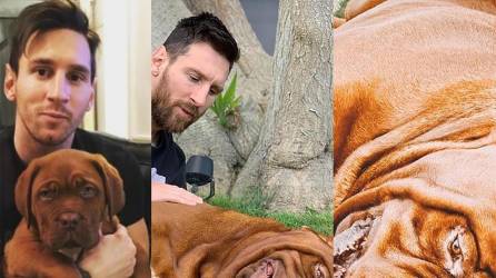 Lionel Messi reveló un gran misterio: El astro argentino confesó dónde y cómo está Hulk, el gigante perro que tienen.