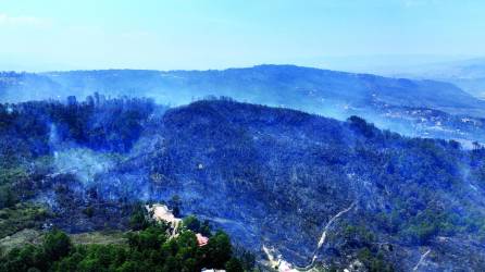 Desde lo alto se puede observar el daño de los incendios.