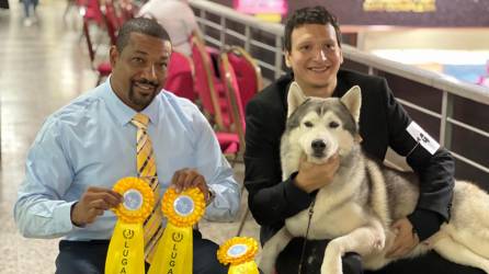 Al menos unos 1,100 canes y sus entrenadores participaron el fin de semana en la exposición canina de las Américas y el Caribe, que por primera vez se llevó a cabo en Honduras.