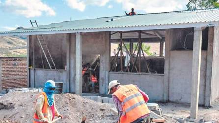 Albañiles haciendo trabajos de construcción en una escuela | Fotografía de archivo