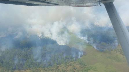 Una tragedia ambiental ocurre en la Biosfera del Río Plátano en el departamento de Gracias a Dios donde cientos de héctareas de bosques son consumidas por un incendio en la zona.